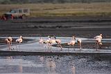 TANZANIA - Lake Natron - 060